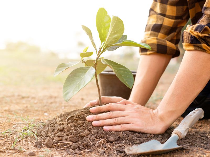 Compromiso medioambiental